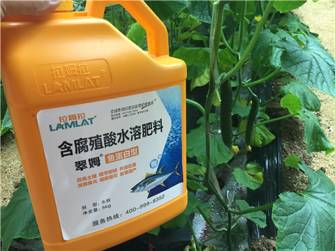 生根劑，魚蛋白水溶肥，拉姆拉
