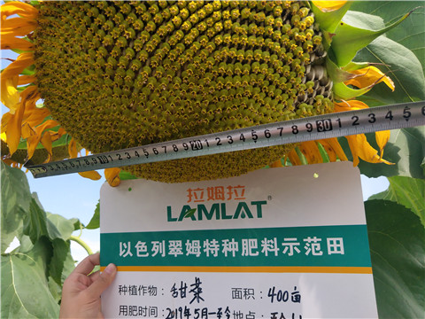 水溶肥，微生物菌劑，拉姆拉