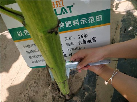 水溶肥，微生物菌劑，拉姆拉