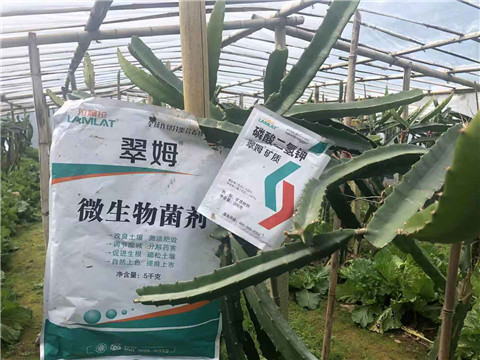 磷酸二氫鉀，翠姆，拉姆拉