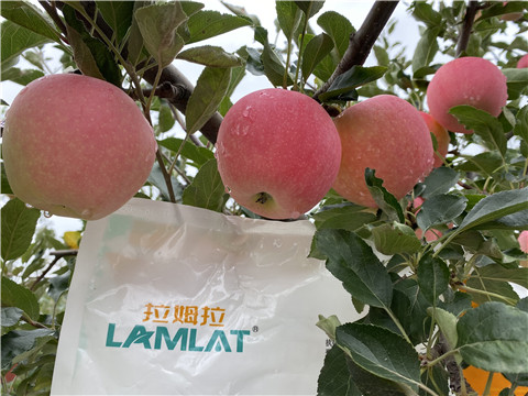 水溶肥，翠姆，拉姆拉