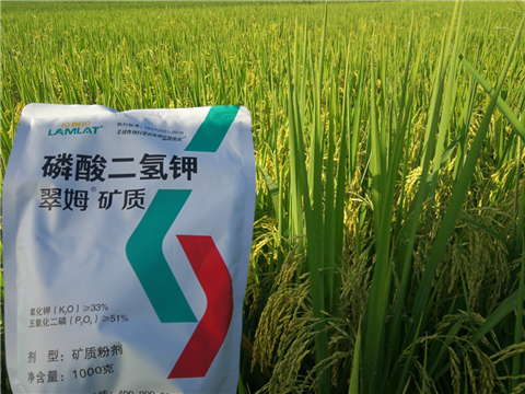 葉面肥，水稻灌漿肥，拉姆拉
