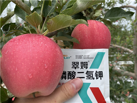 高鉀水溶肥，磷酸二氫鉀，拉姆拉，翠姆