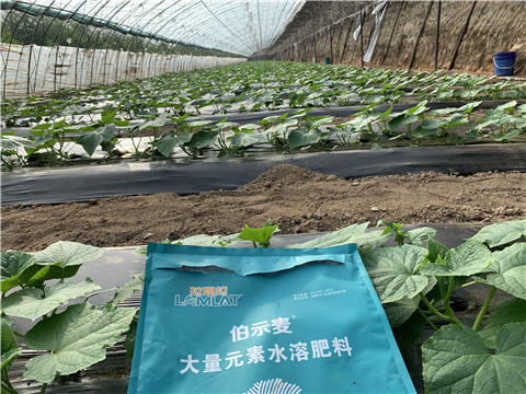 水溶肥，拉姆拉