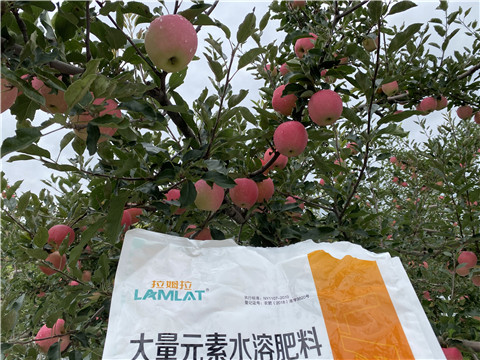 進口水溶肥品牌，拉姆拉，翠姆