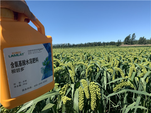 磷酸二氫鉀，拉姆拉，翠姆