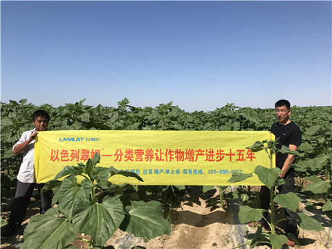 進(jìn)口水溶肥，拉姆拉