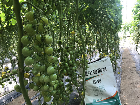 微生物菌劑，磷酸二氫鉀，翠姆，拉姆拉