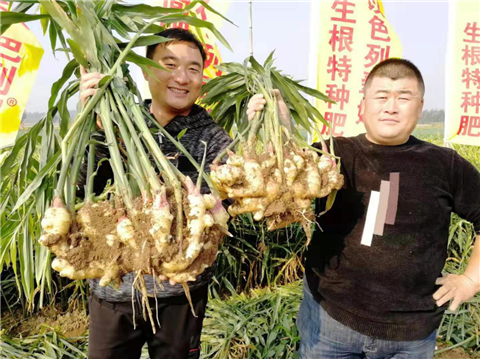水溶肥，翠姆，拉姆拉