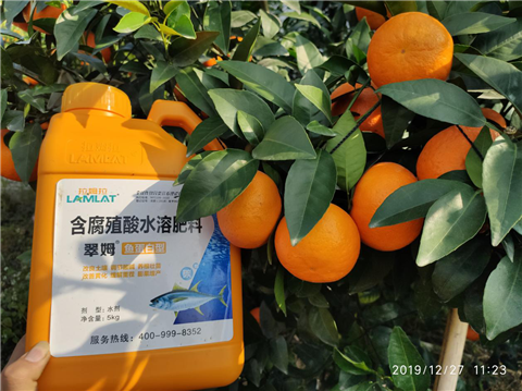 水溶肥，翠姆，拉姆拉
