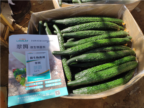 葉面肥，安碧解，除草劑藥害