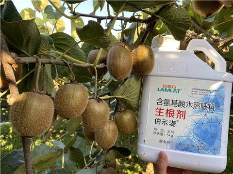 水溶肥，拉姆拉
