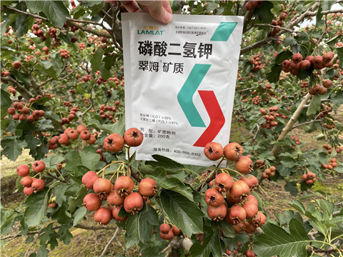 磷酸二氫鉀，拉姆拉，翠姆