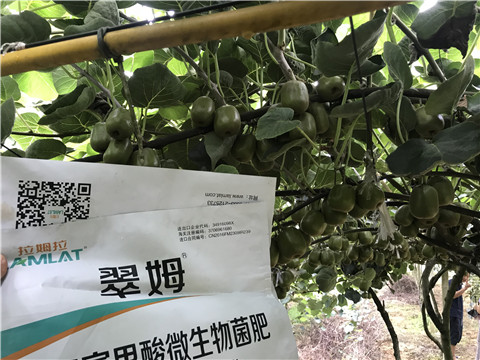 微生物菌劑，平衡顆粒復(fù)合肥，翠姆，拉姆拉