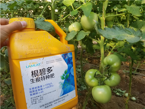 葉面肥，磷酸二氫鉀，微生物菌劑，翠姆，拉姆拉