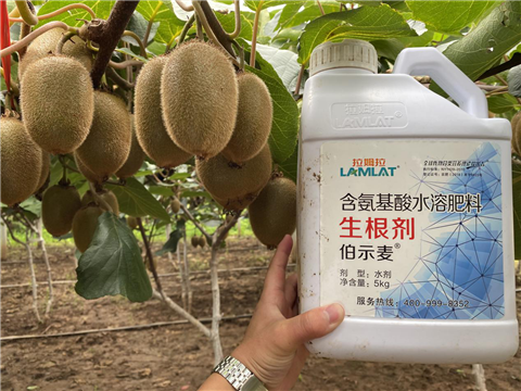 水溶肥，生根劑，微生物菌劑，伯示麥，拉姆拉