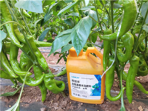 水溶肥，拉姆拉