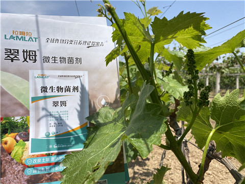 微生物菌劑，拉姆拉，翠姆