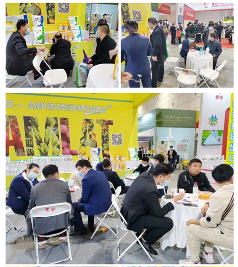 水溶肥，拉姆拉，翠姆