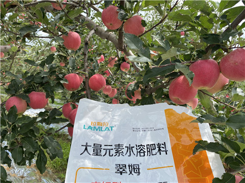 水溶肥，大量元素水溶肥，翠姆，拉姆拉