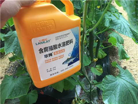 滴灌肥，拉姆拉，翠姆
