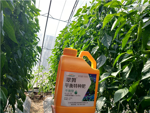 滴灌肥，拉姆拉，翠姆