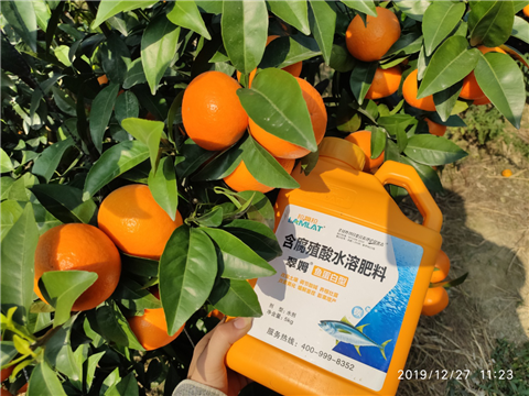 水溶肥，拉姆拉，翠姆