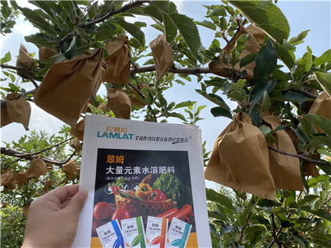 大量元素水溶肥，拉姆拉，翠姆