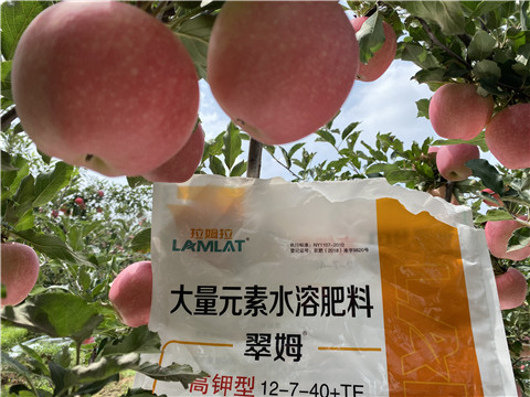 大量元素水溶肥，拉姆拉，翠姆