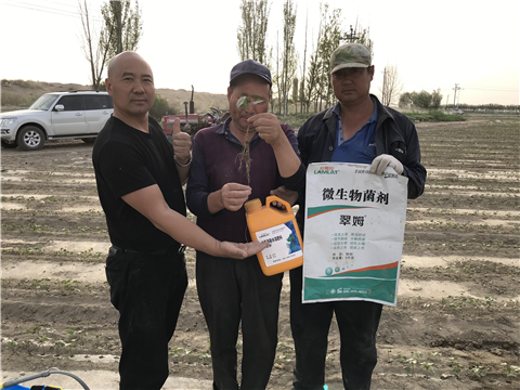 水溶肥，拉姆拉，翠姆
