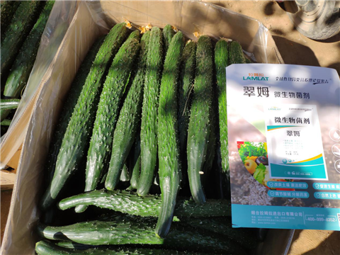 微生物菌劑，拉姆拉，翠姆