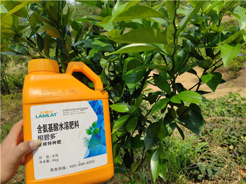 沖施肥，拉姆拉，翠姆