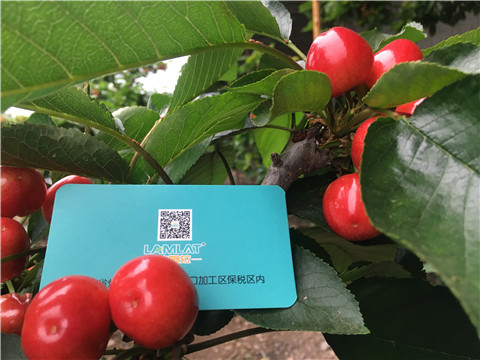 大量元素水溶肥，拉姆拉，翠姆