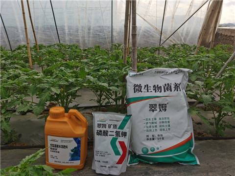 水溶肥，拉姆拉，翠姆