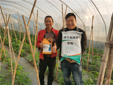 水溶肥，拉姆拉，翠姆