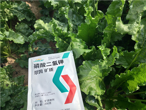 水溶肥，拉姆拉，翠姆