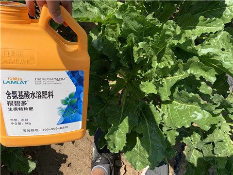 水溶肥，拉姆拉，翠姆