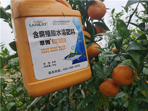 水溶肥，拉姆拉，翠姆