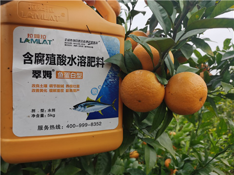 水溶肥，拉姆拉，翠姆