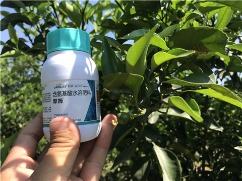 葉面肥，拉姆拉，翠姆