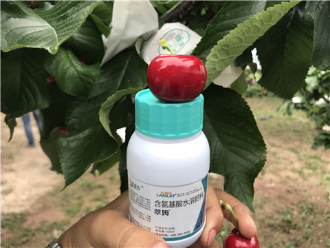 水溶肥，拉姆拉，翠姆