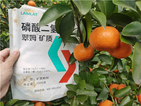 水溶肥，拉姆拉，翠姆
