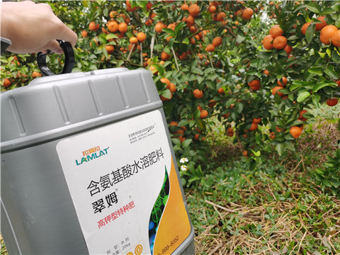 水溶肥，拉姆拉，翠姆