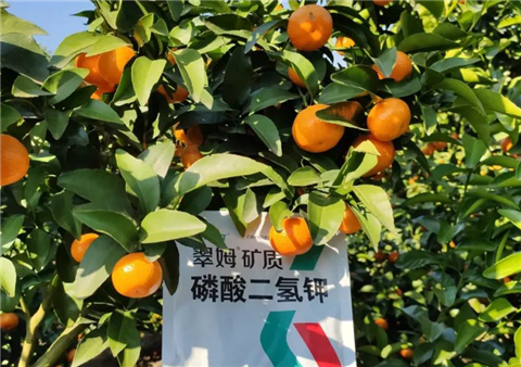磷酸二氫鉀，拉姆拉，翠姆