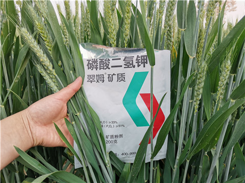 葉面肥，水溶肥，磷酸二氫鉀