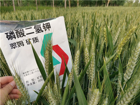葉面肥，水溶肥，磷酸二氫鉀