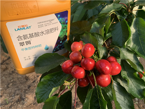 氨基酸水溶肥，拉姆拉，翠姆