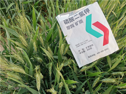 水溶肥，拉姆拉，翠姆