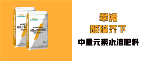 水溶肥，拉姆拉，翠姆
