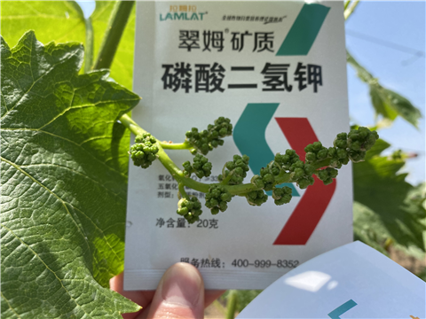 磷酸二氫鉀，拉姆拉，翠姆